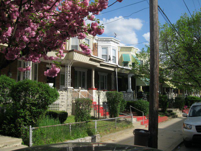 A row of houses with pink flowers in the foreground.
